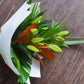 Lily Cones